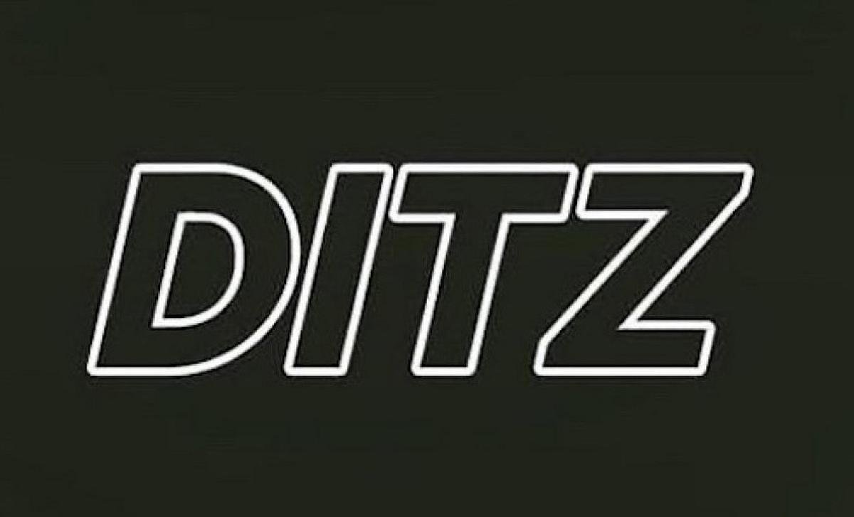 Ditz